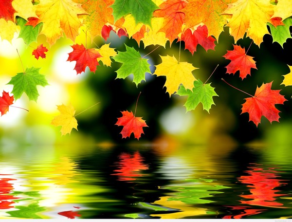 Осень - переходное состояние природы и такое же состояние для души.